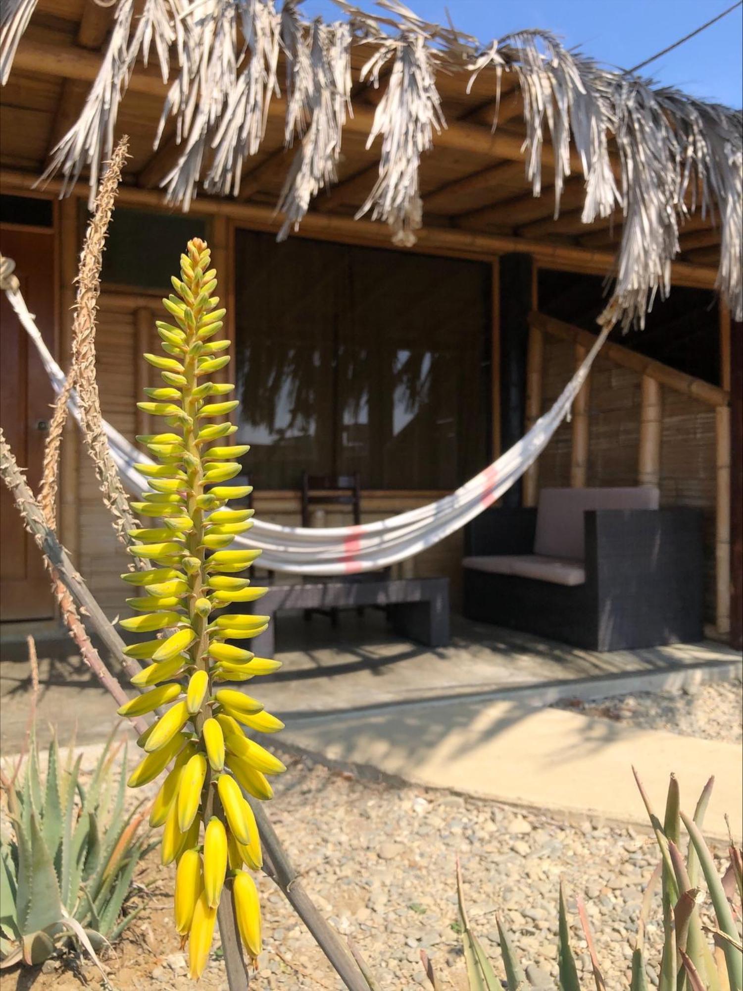 Wayra Hotel Lobitos Exterior photo